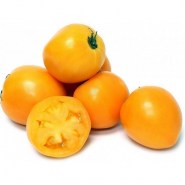tomata-orange